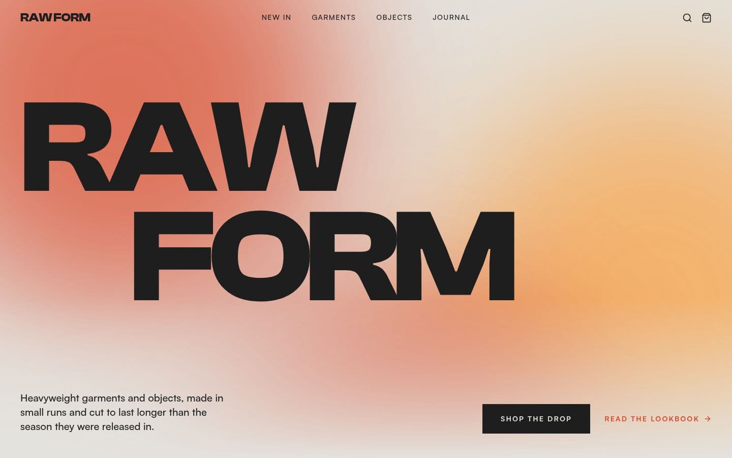 Raw Form concept website, home page